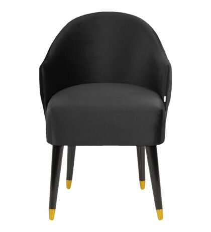Darry Lounge Chair in Black Color