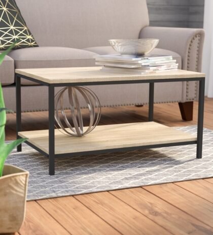 Eiza Center Table in Black & Brown Colour