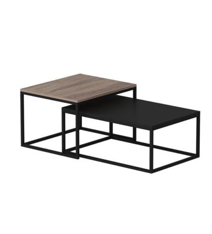 Lorido Center Table in Black and Brown Color Wooden Top