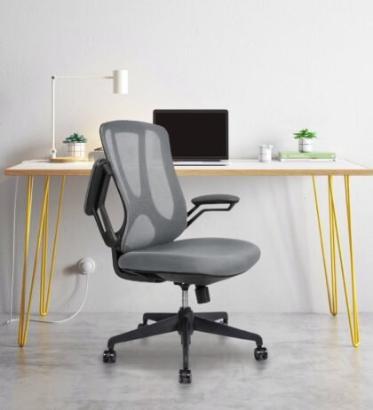 Dream Black Mid Back Ergonomic Office Chair in Grey Color