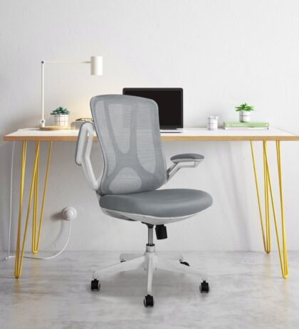 Dream White Mid Back Ergonomic Office Chair in Grey Color