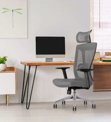 ErgoHuman High Back Office Chair in Grey Color with Headrest