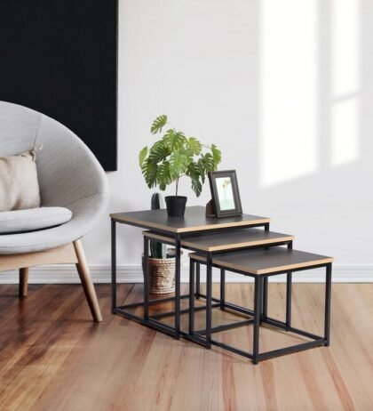 Hashly Nesting Side Table in Black Color (Set of 3)