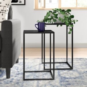 Evelyn Side Table (Set of 2) in Black Colour