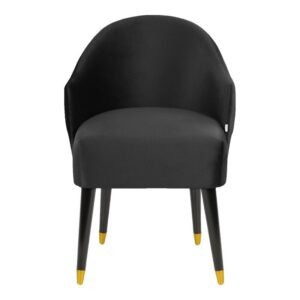 Darry Lounge Chair in Black Color