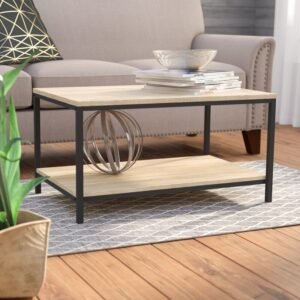 Eiza Center Table in Black & Brown Colour
